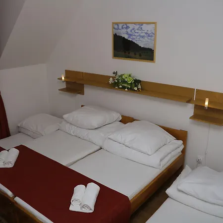 Pieniny فندق