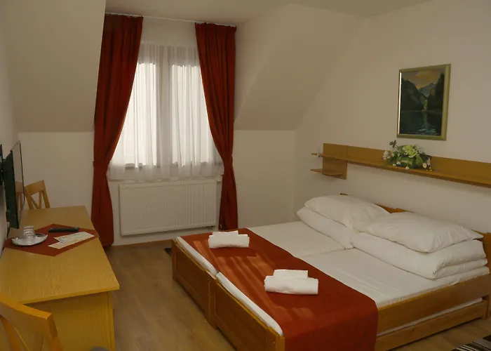 Отель Pieniny 3*