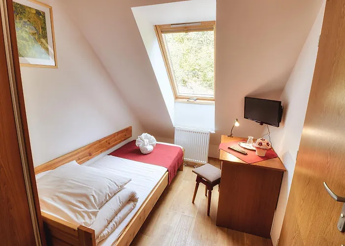 Отель Pieniny 3*